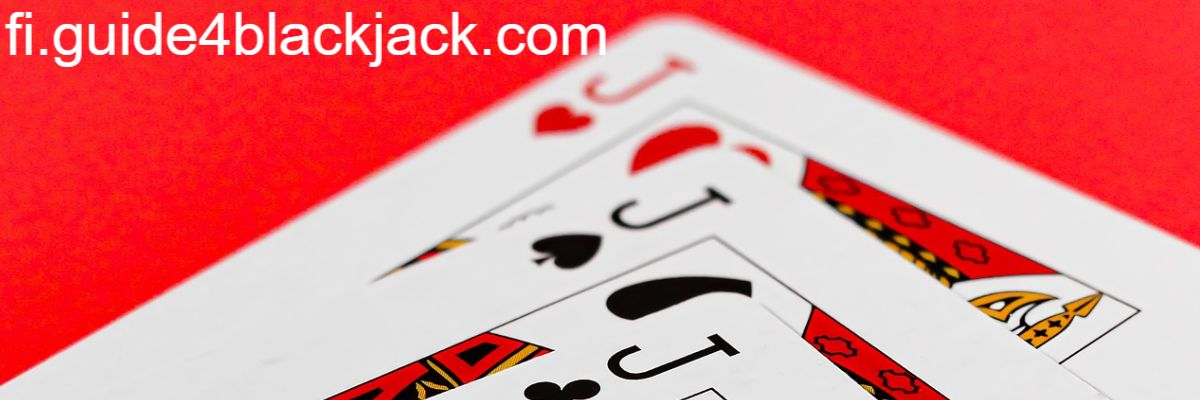 fi.guide4blackjack.com